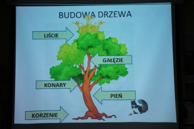 Obchody DNIA DRZEWA w edukacji wczesnoszkolnej. _25