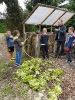 Lekcja ekologii z Green Leaf Farm Permaculture Start up_14
