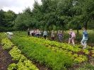 Lekcja ekologii z Green Leaf Farm Permaculture Start up_15